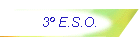3º E.S.O.